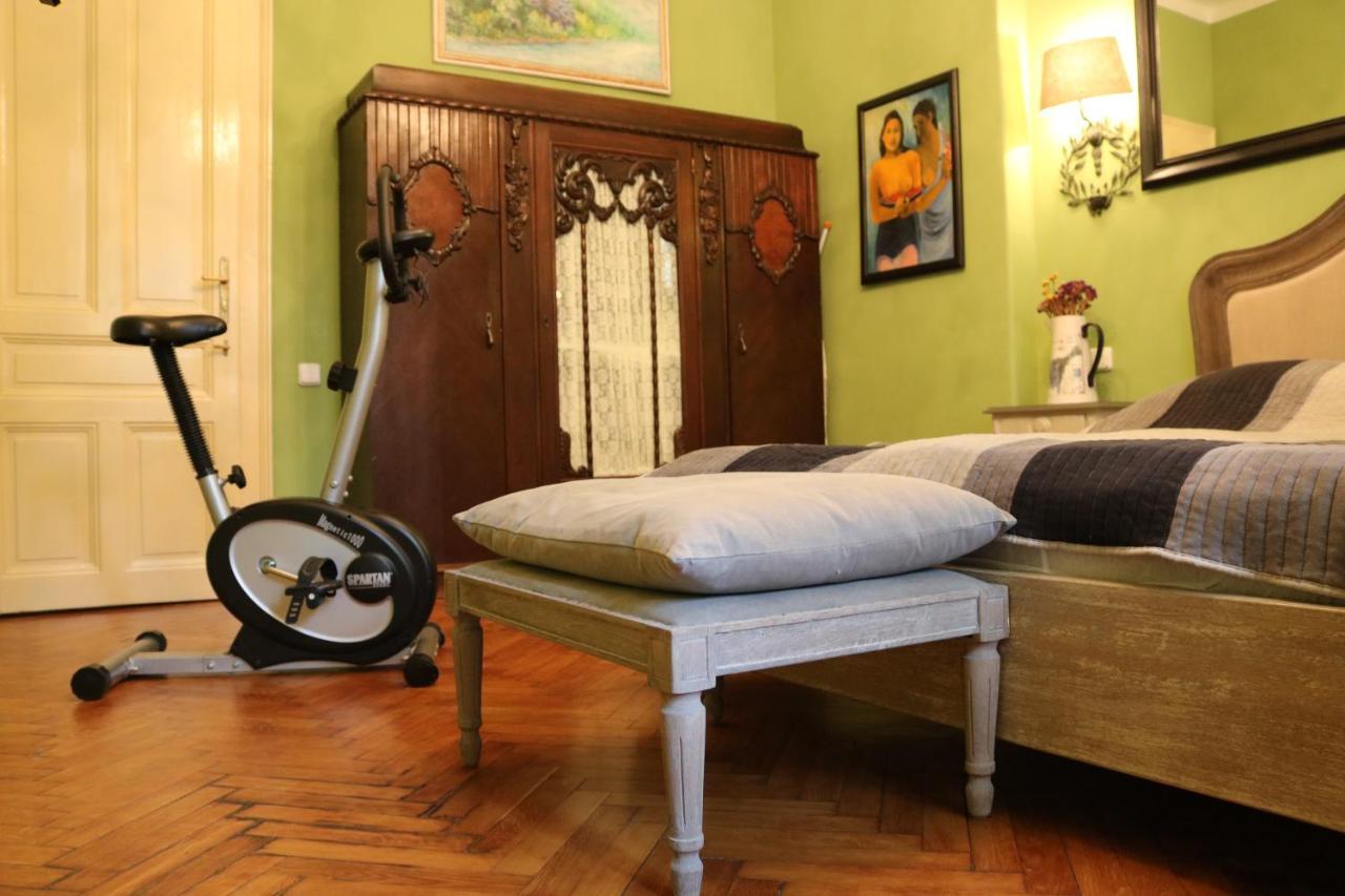 Retro Big Apartment With Two Balconies And Lift Karlovy Vary Luaran gambar